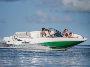 Speed Boats for Sale in India - Sea Ray 190 Sport