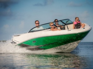 Speed Boats for Sale in India - Sea Ray 190 Sport