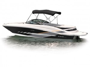 Speed Boats for Sale in India - Sea Ray 190 Sport