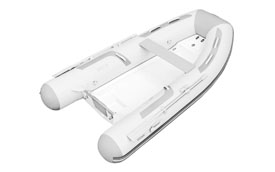 Zodiac Cadet Rib 310