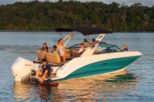 Sea Ray SDX 250 OB sport boats for sale in India