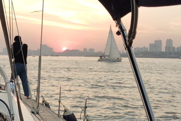 Ocean Gold Offshore Regatta 11