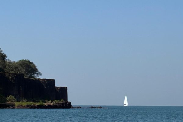 Ocean Gold Offshore Regatta 8