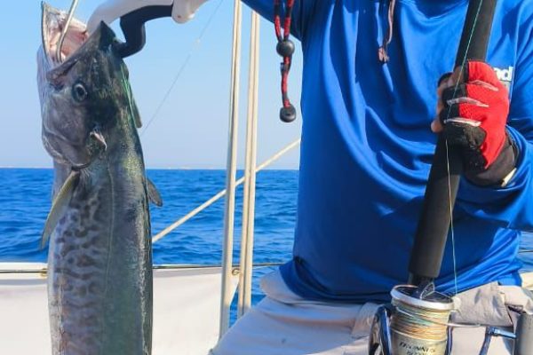 Ocean Gold Offshore Regatta 9