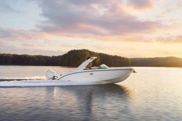 Searay SDX 270 Outboard Boat For Sale In India (5)