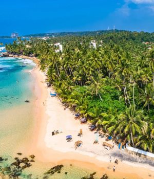 Sri Lanka (1)